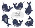 Cute magic narwhals collection, mystical celestial baby whale